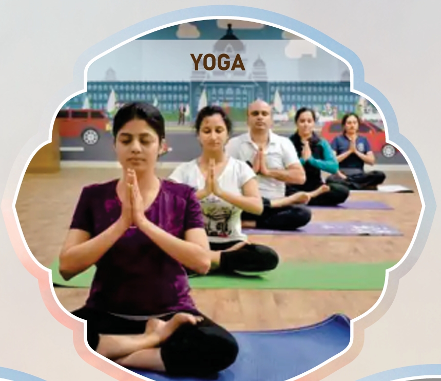 Open Terrace Green Gym