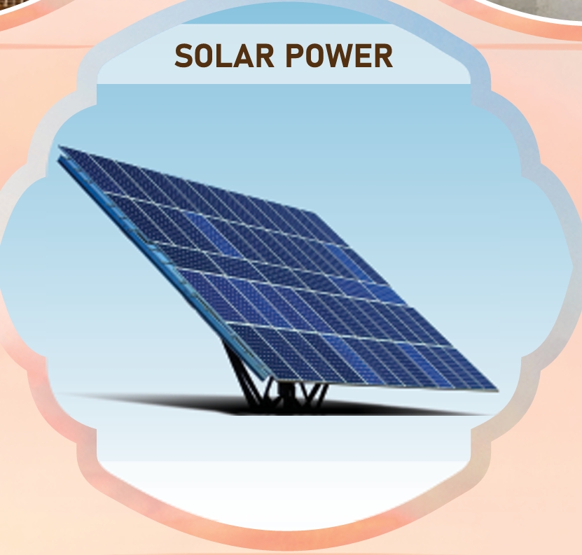 Open Terrace Green Gym